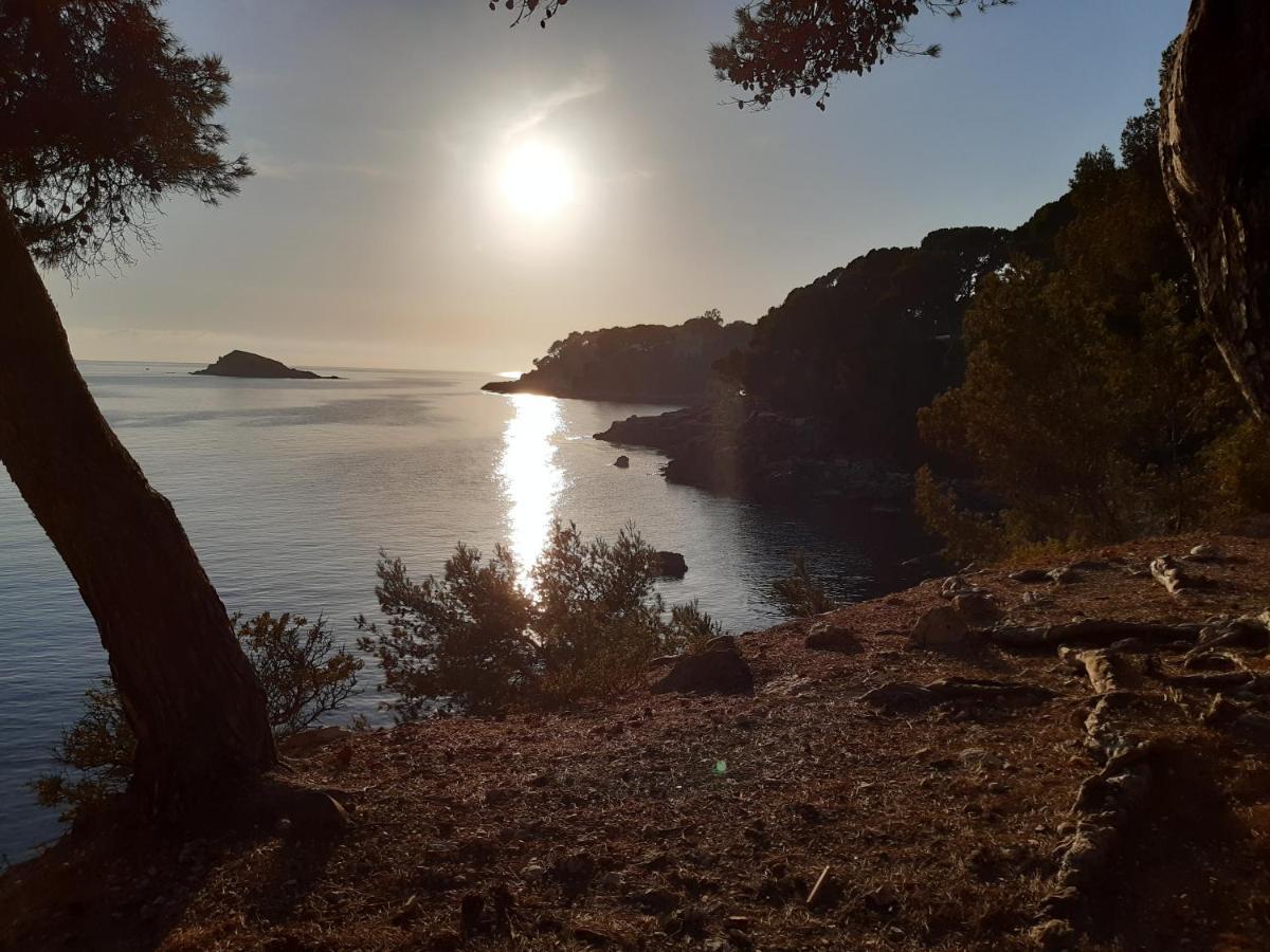 Chez Pierrot 2 Villa Bandol Eksteriør bilde